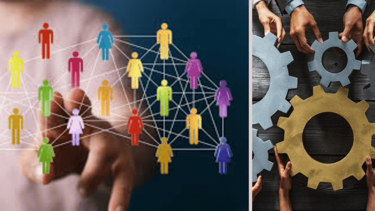 organisationsentwicklung